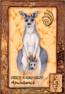 Animal Dreaming Oracle Cards by Scott Alexander King and Karen Branchflower