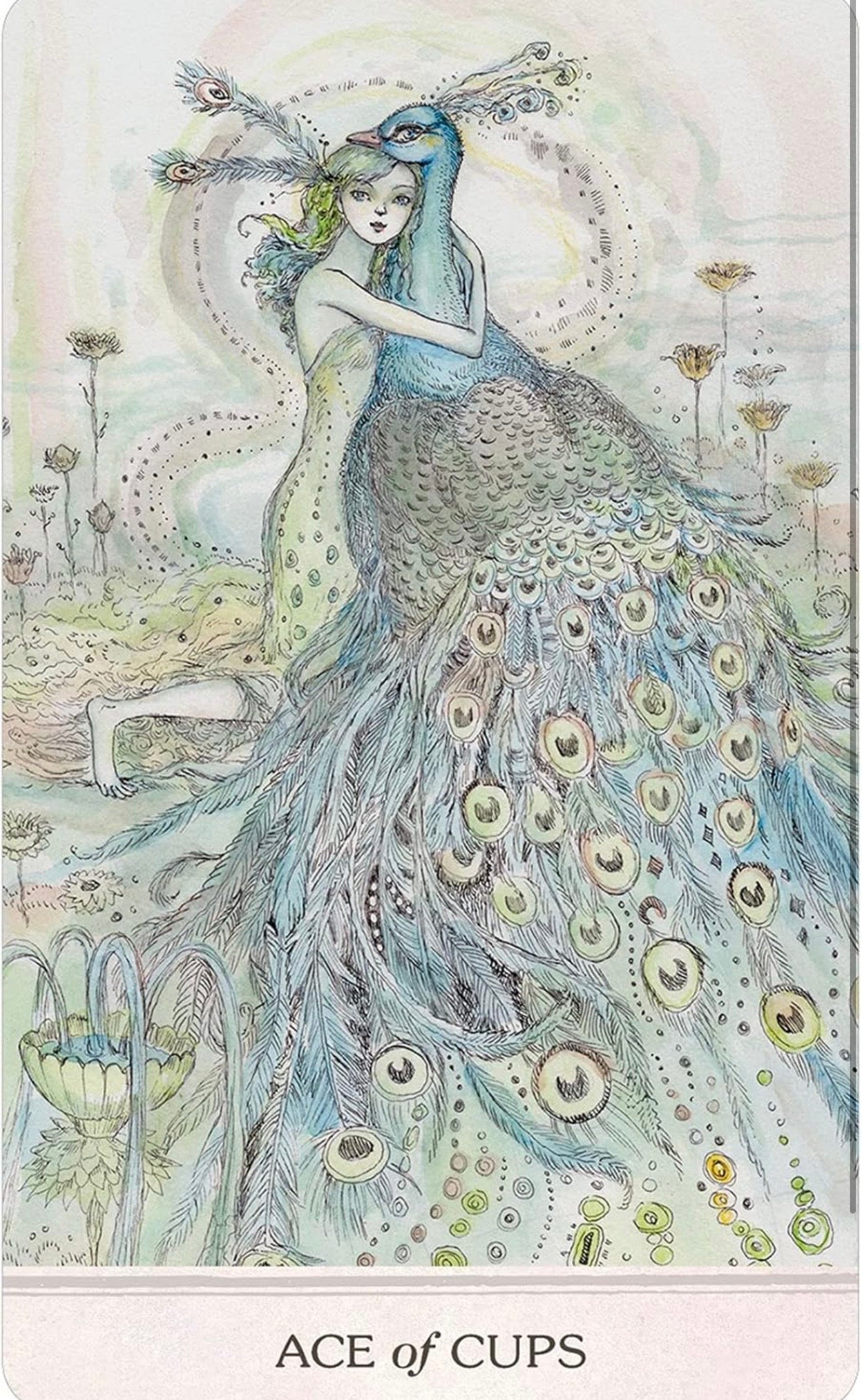 Phantasma Tarot Deck Cards by Paulina Fae – Glow Fish Studios