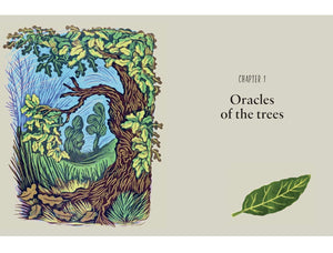 Nature's Hidden Oracles: From Flowers to Feathers & Shells to Stones - A Practical Guide to Natural Divination by Liz Dean hardcover