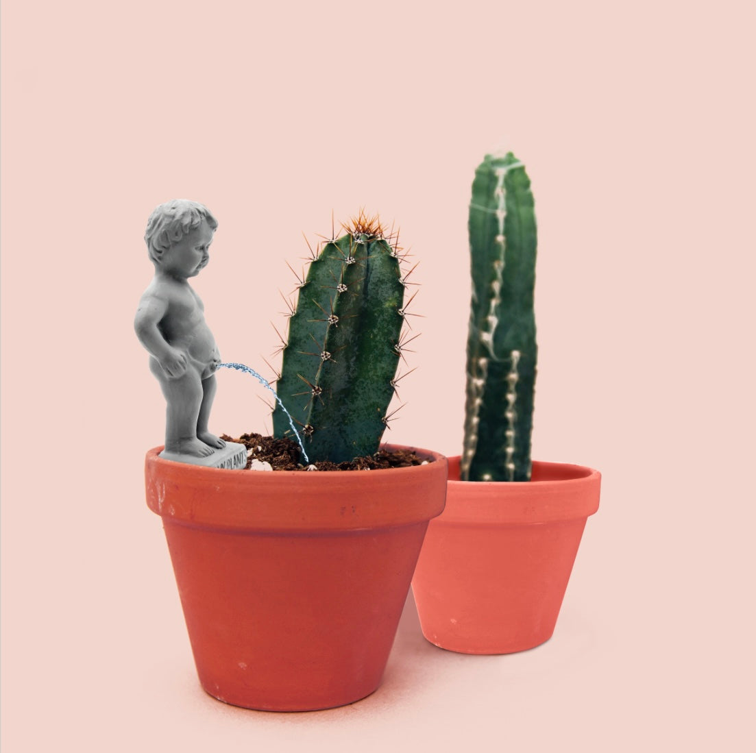 Pee My Plants Plant Watering Decoration