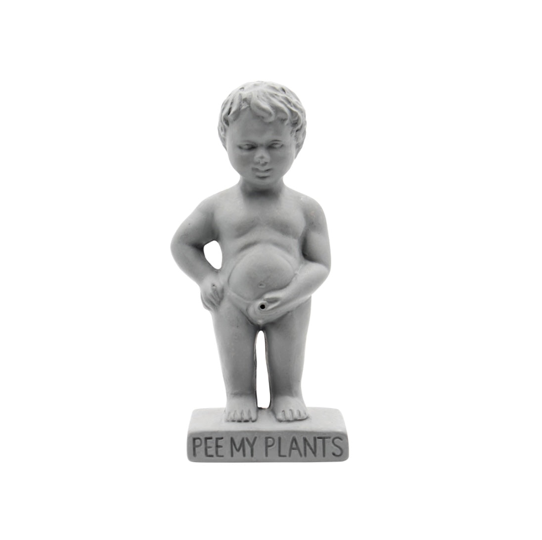 Pee My Plants Plant Watering Decoration