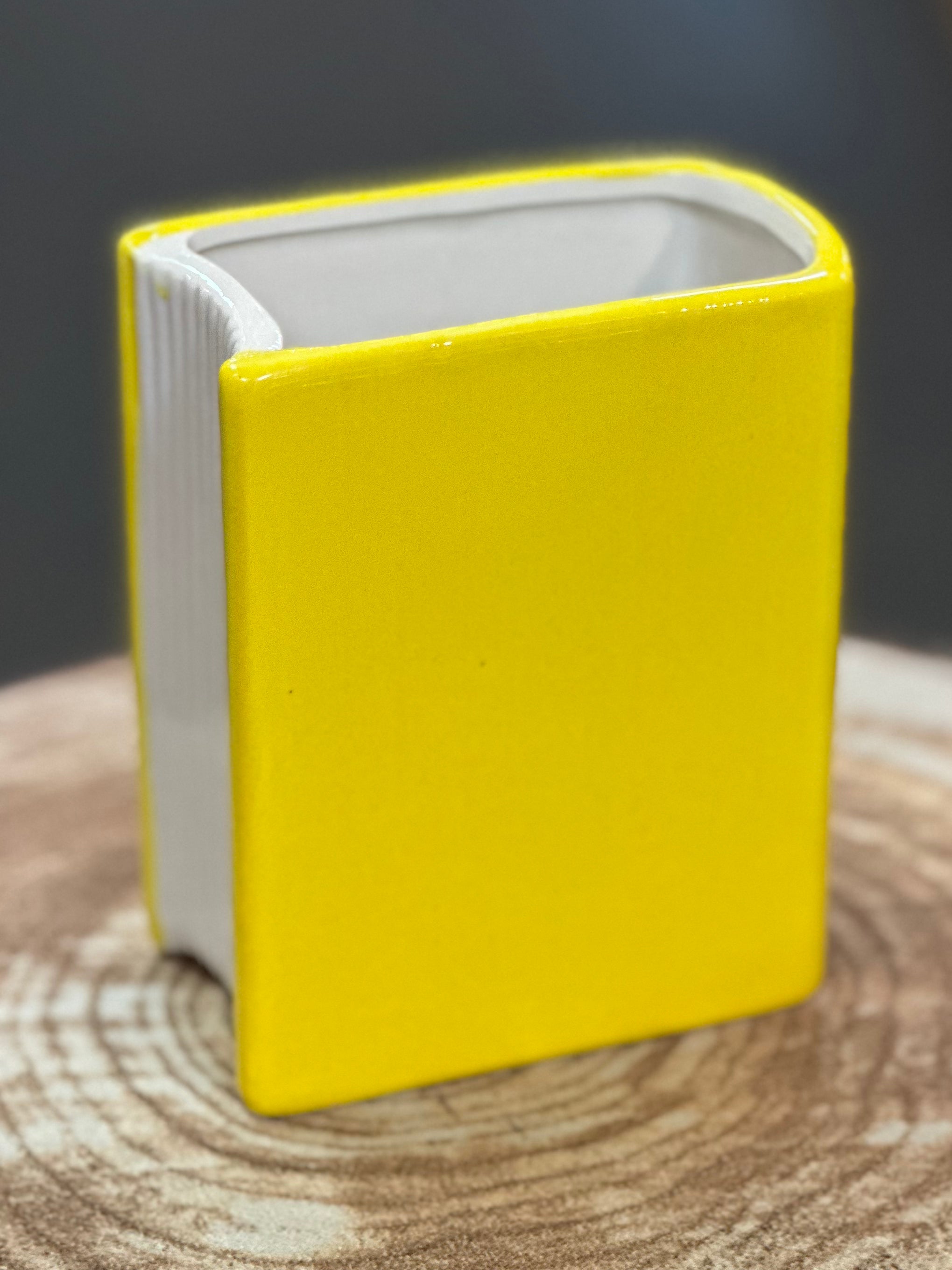 Girls Who Don't Read are Skanks Book Vase, Pencil Holder, or Planter