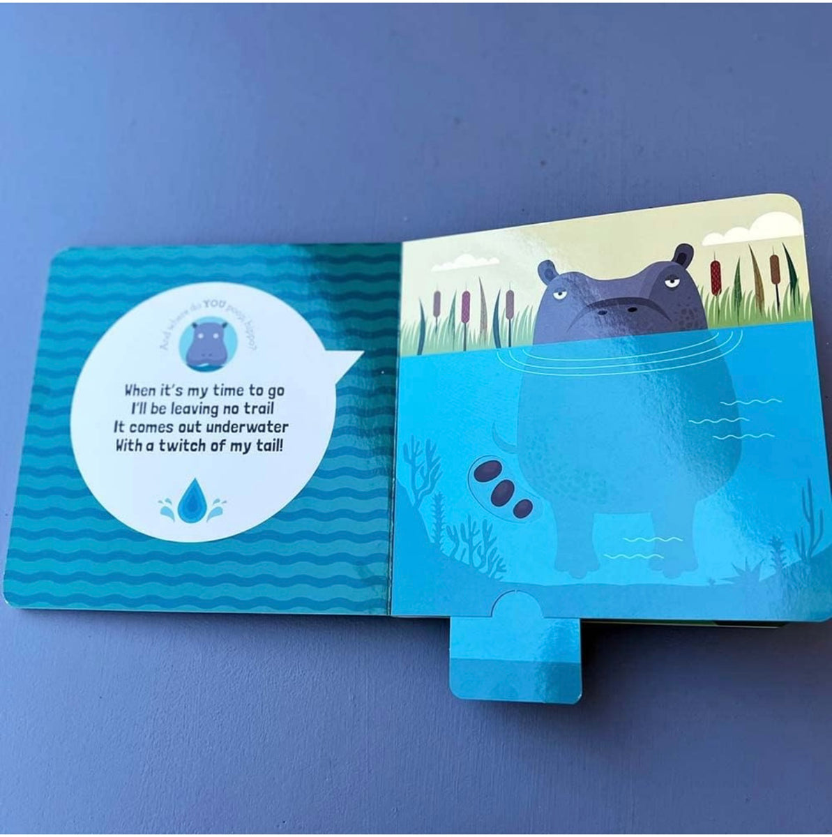 Where Do You Poop? boardbook – Glow Fish Studios