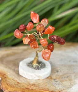 Carnelian Crystal Little Tree Semi-Precious Stones