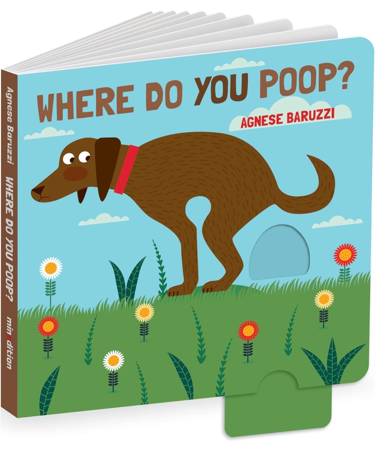 Where Do You Poop? boardbook