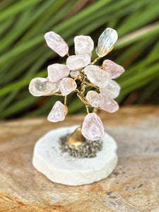 Rose Quartz Crystal Little Tree Semi-Precious Stones