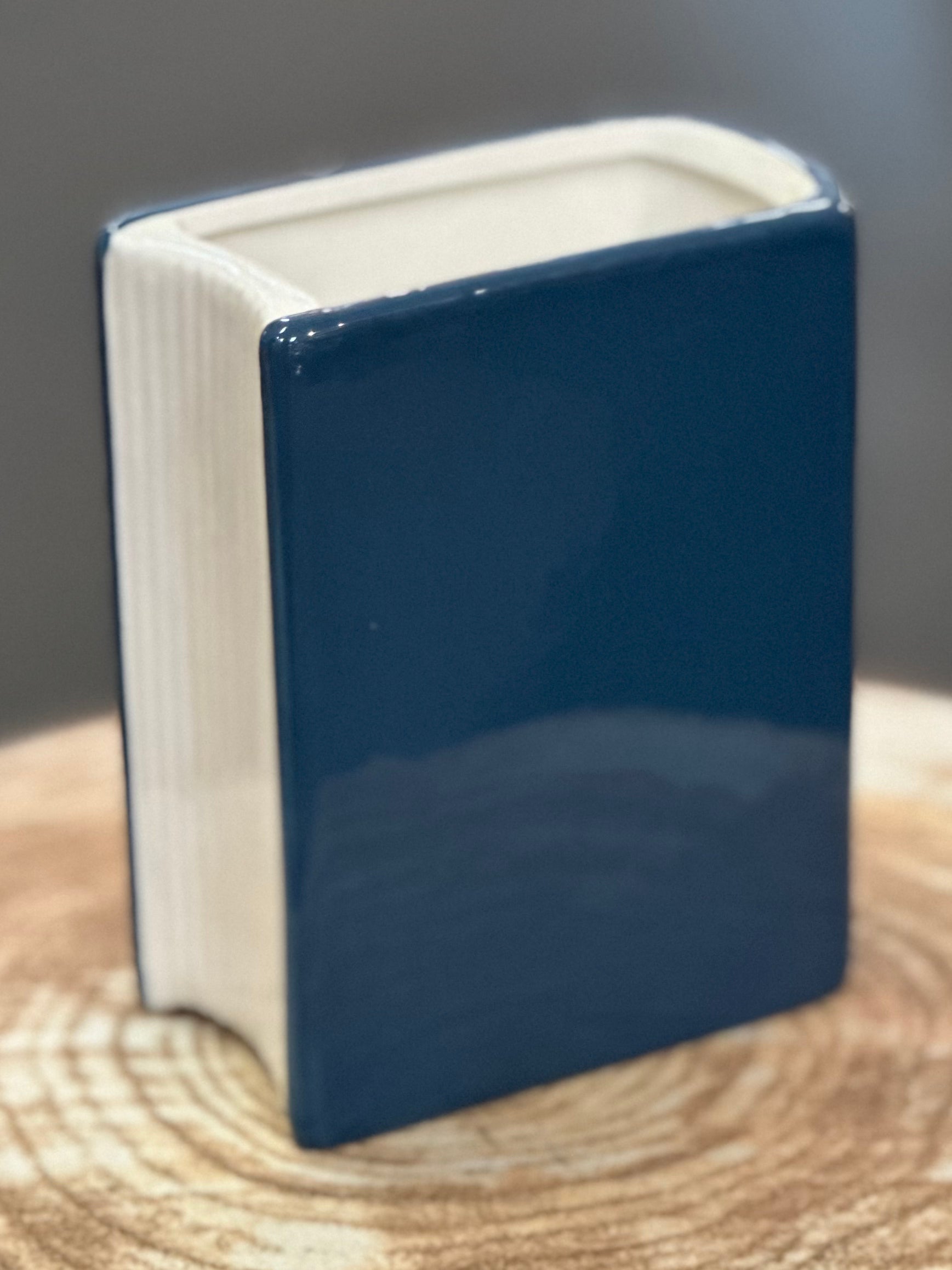 Take No Shit Give No Fucks Book Vase, Pencil Holder, or Planter