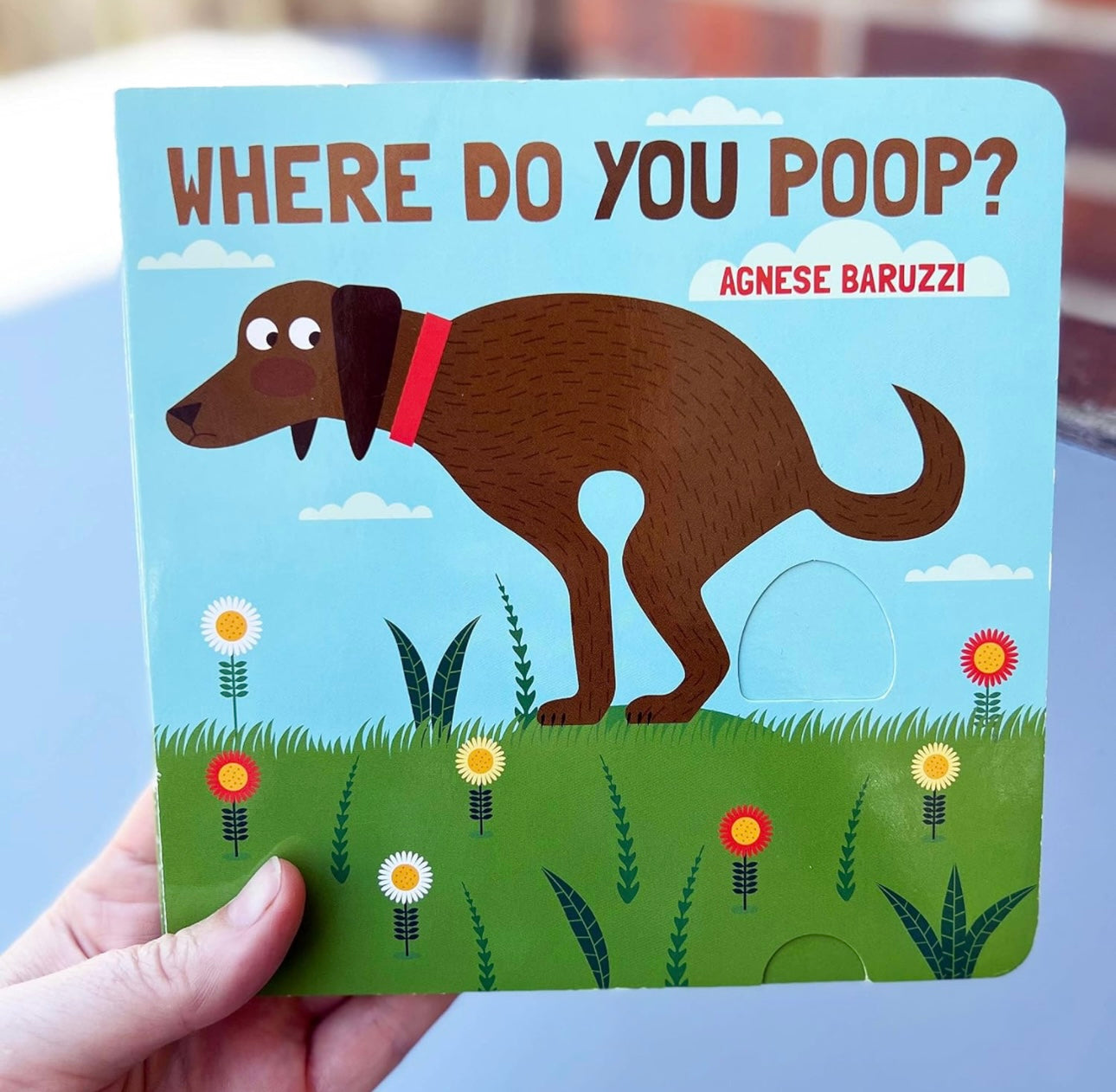Where Do You Poop? boardbook