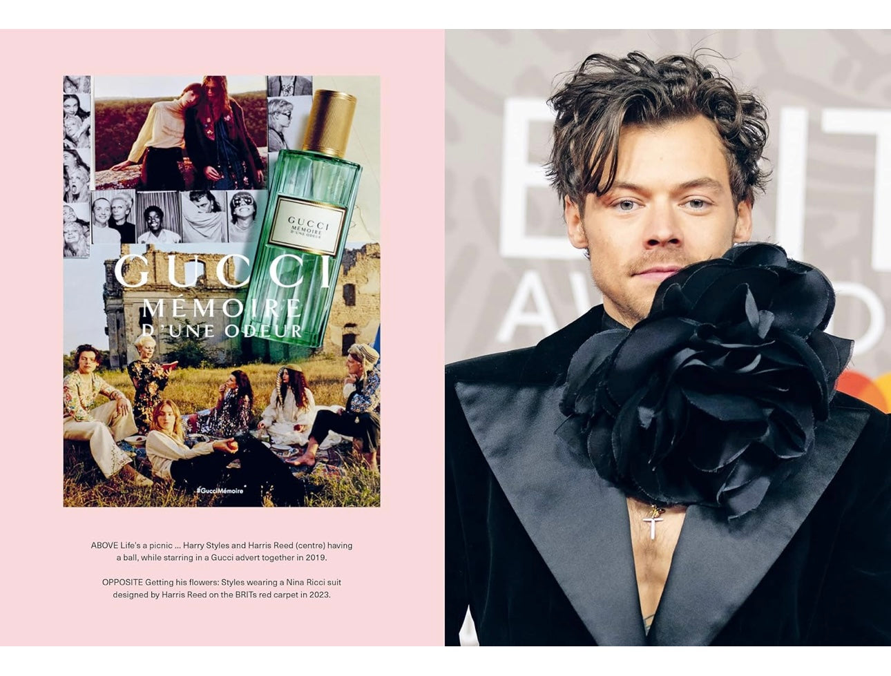 Icons of Styles Harry Styles hardcover