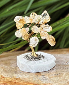 Citrine Crystal Little Tree Semi-Precious Stones