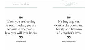 Little Book of Mother's Love by Orange Hippo hardcover