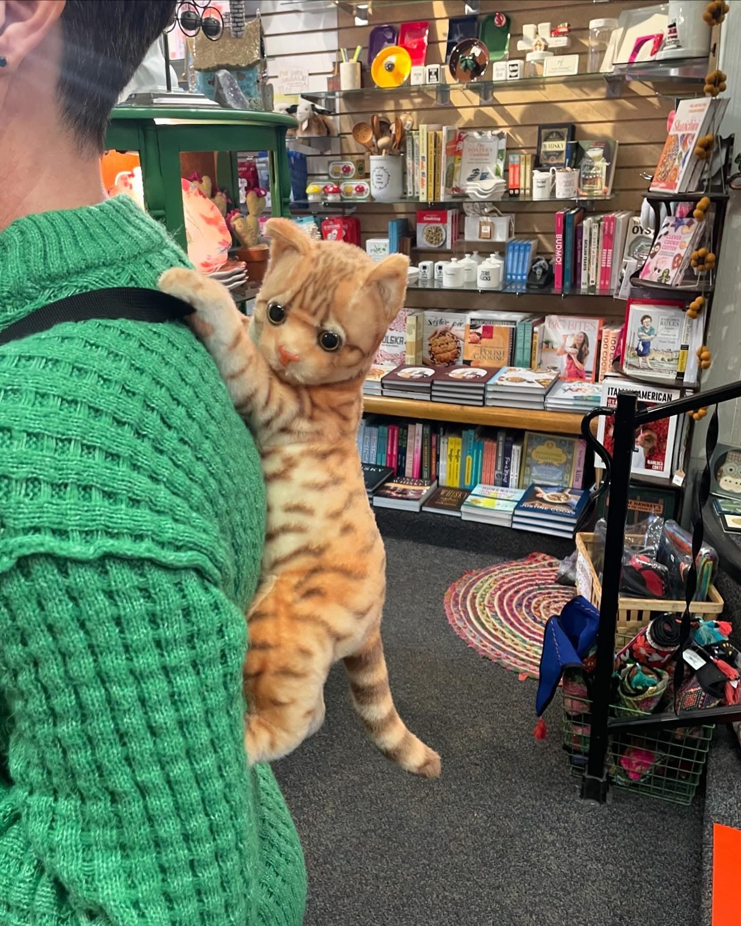 Tiger Cat Backpack