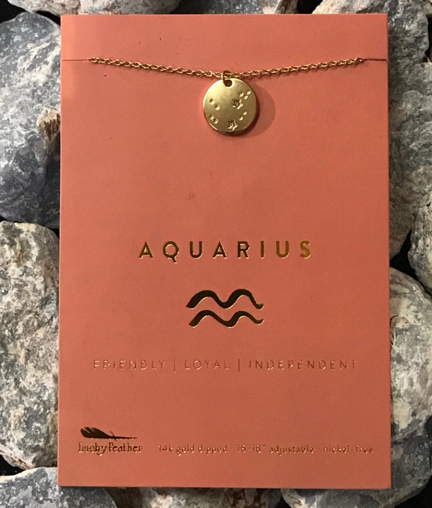 Lucky Feather Zodiac Astrology Necklace - Aquarius Glow Fish Studios