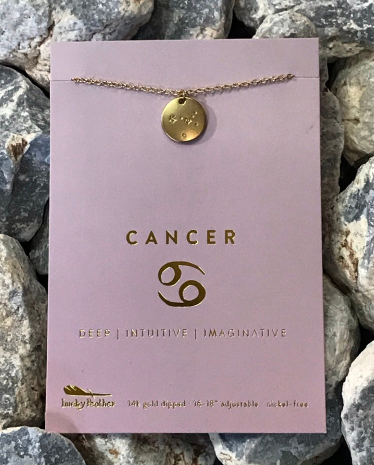 Amazon.com: Fine Sterling Silver Diamond Cancer Zodiac Sign Rope Charm Pendant  Necklace, 16